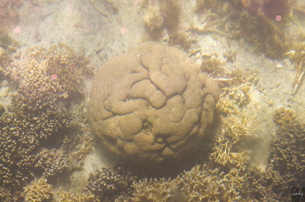 AustraliaPerth 10  114